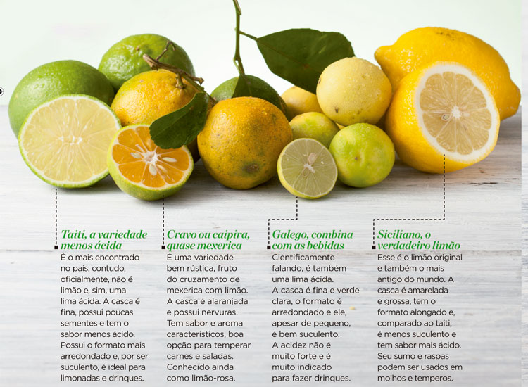 O Limão & Suas Variedades – Protetor Para o Uso de Limão
