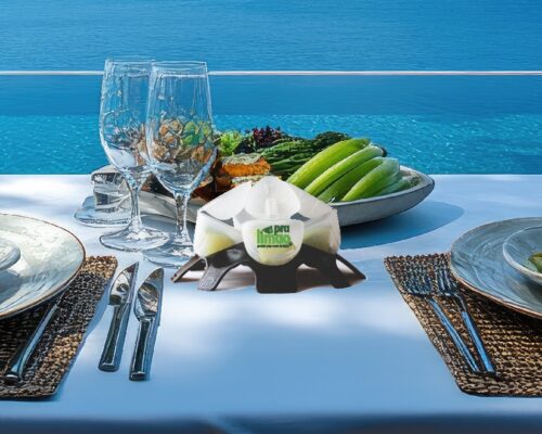 Pralimao impulsiona setor de utilidades e correlatos