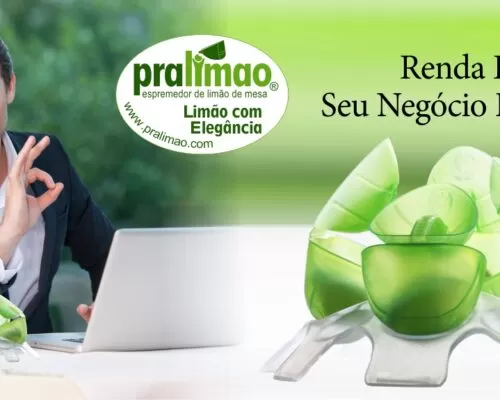 Renda Extra & Seu Negócio Próprio